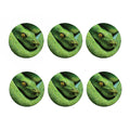 Green Tree Python Snake Print Coaster Set