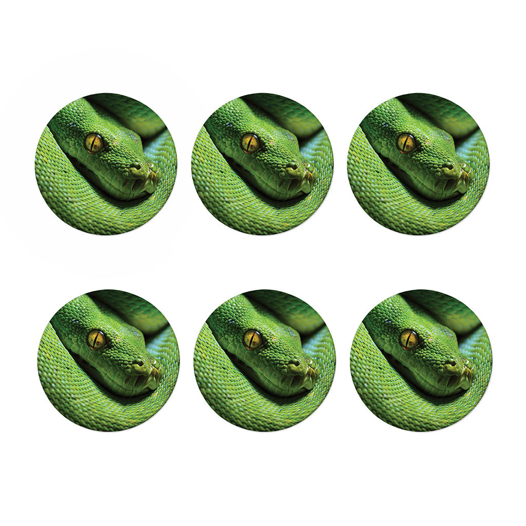 Green Tree Python Snake Print Coaster Set