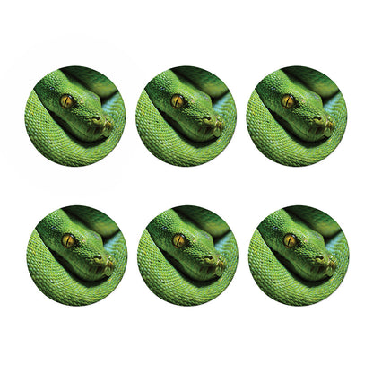 Green Tree Python Snake Print Coaster Set