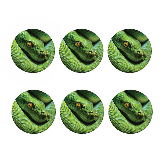 Green Tree Python Snake Print Coaster Set