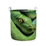 Green Tree Python Snake Print Collapsible Laundry Basket