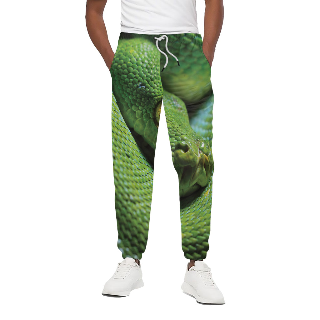 Green Tree Python Snake Print Cotton Pants