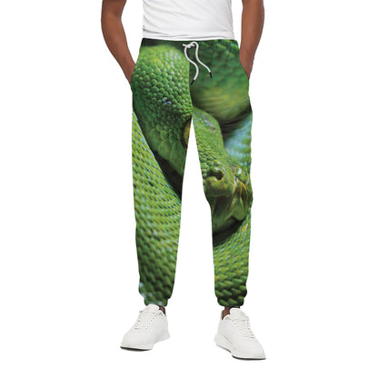 Green Tree Python Snake Print Cotton Pants