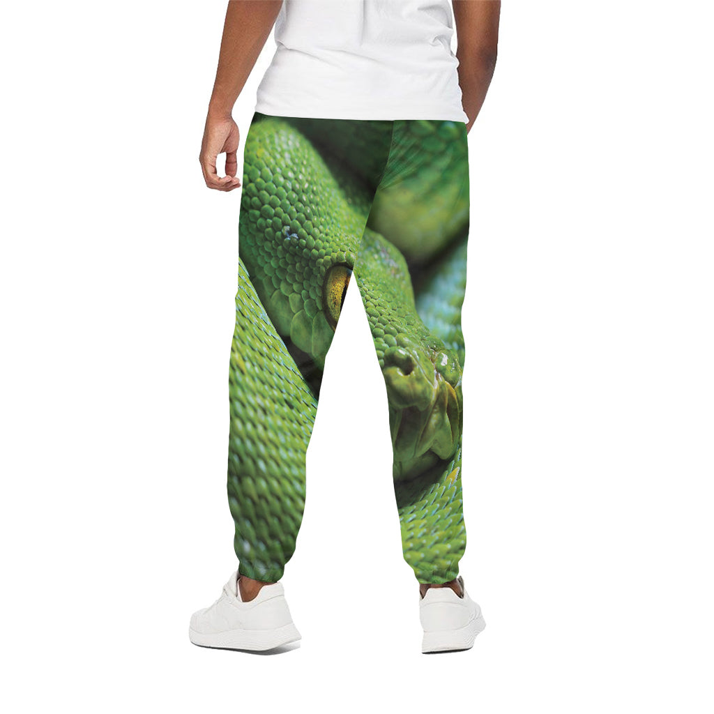 Green Tree Python Snake Print Cotton Pants