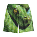Green Tree Python Snake Print Cotton Shorts