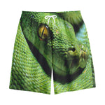 Green Tree Python Snake Print Cotton Shorts