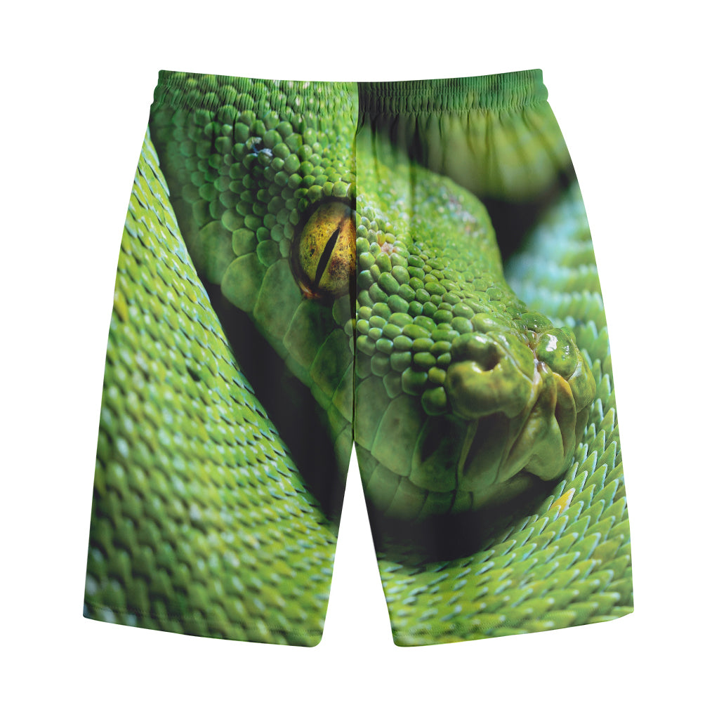 Green Tree Python Snake Print Cotton Shorts