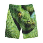 Green Tree Python Snake Print Cotton Shorts