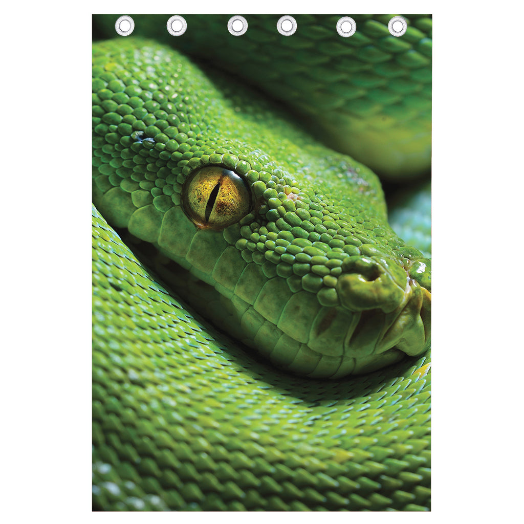 Green Tree Python Snake Print Curtain