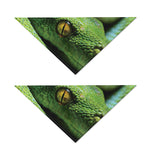 Green Tree Python Snake Print Dog Bandana