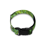 Green Tree Python Snake Print Dog Collar
