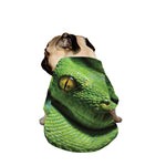 Green Tree Python Snake Print Dog Zip Up Jacket