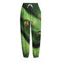 Green Tree Python Snake Print Fleece Lined Knit Pants