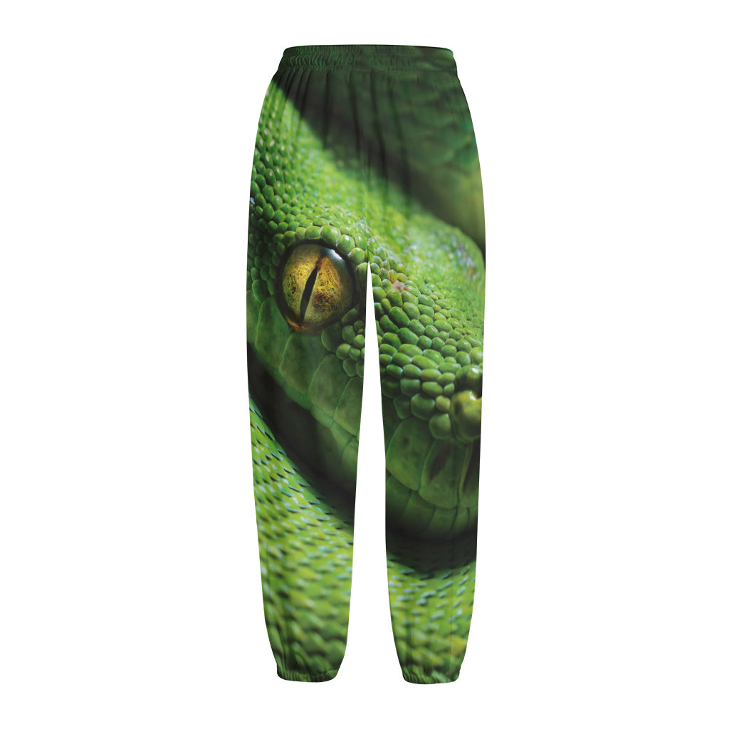 Green Tree Python Snake Print Fleece Lined Knit Pants