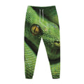 Green Tree Python Snake Print Jogger Pants