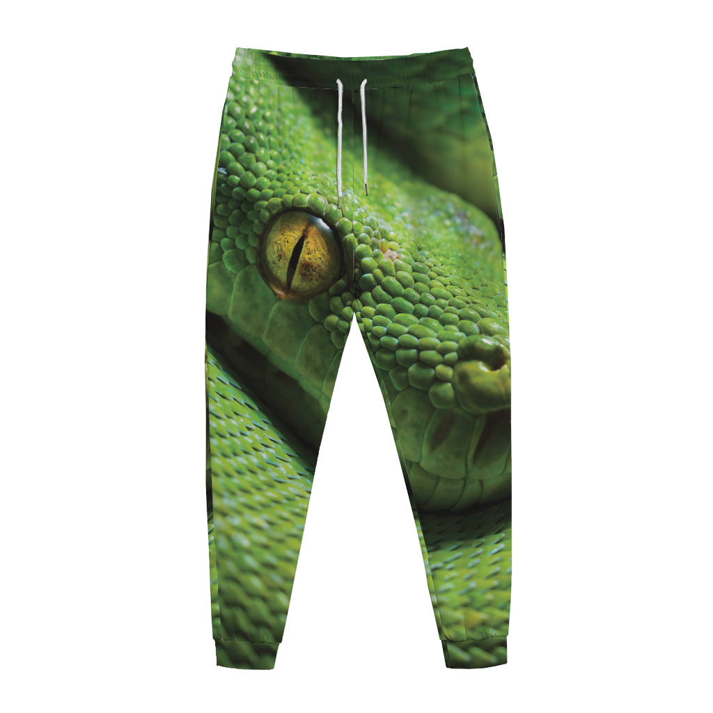 Green Tree Python Snake Print Jogger Pants