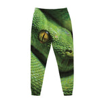 Green Tree Python Snake Print Jogger Pants