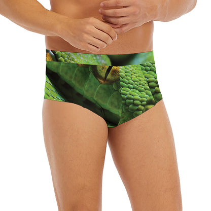Green Tree Python Snake Print Men's Briefs