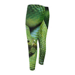 Green Tree Python Snake Print Men's Compression Pants