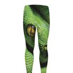 Green Tree Python Snake Print Men's leggings