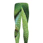 Green Tree Python Snake Print Men's leggings