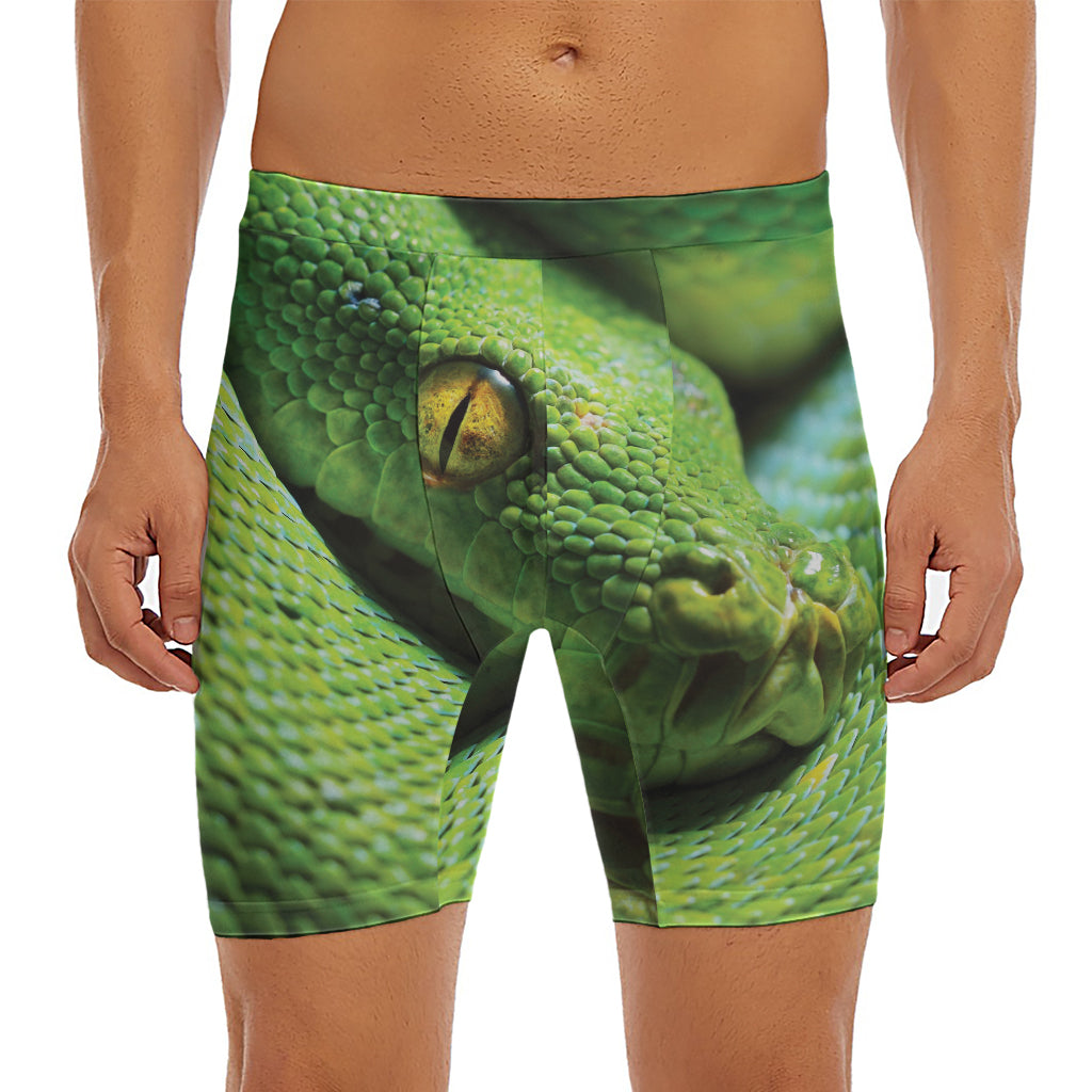 Green Tree Python Snake Print Men's Long Boxer Briefs