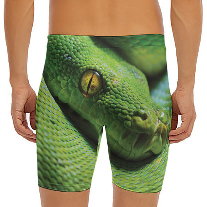Green Tree Python Snake Print Men's Long Boxer Briefs