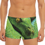 Green Tree Python Snake Print Men's Short Boxer Briefs