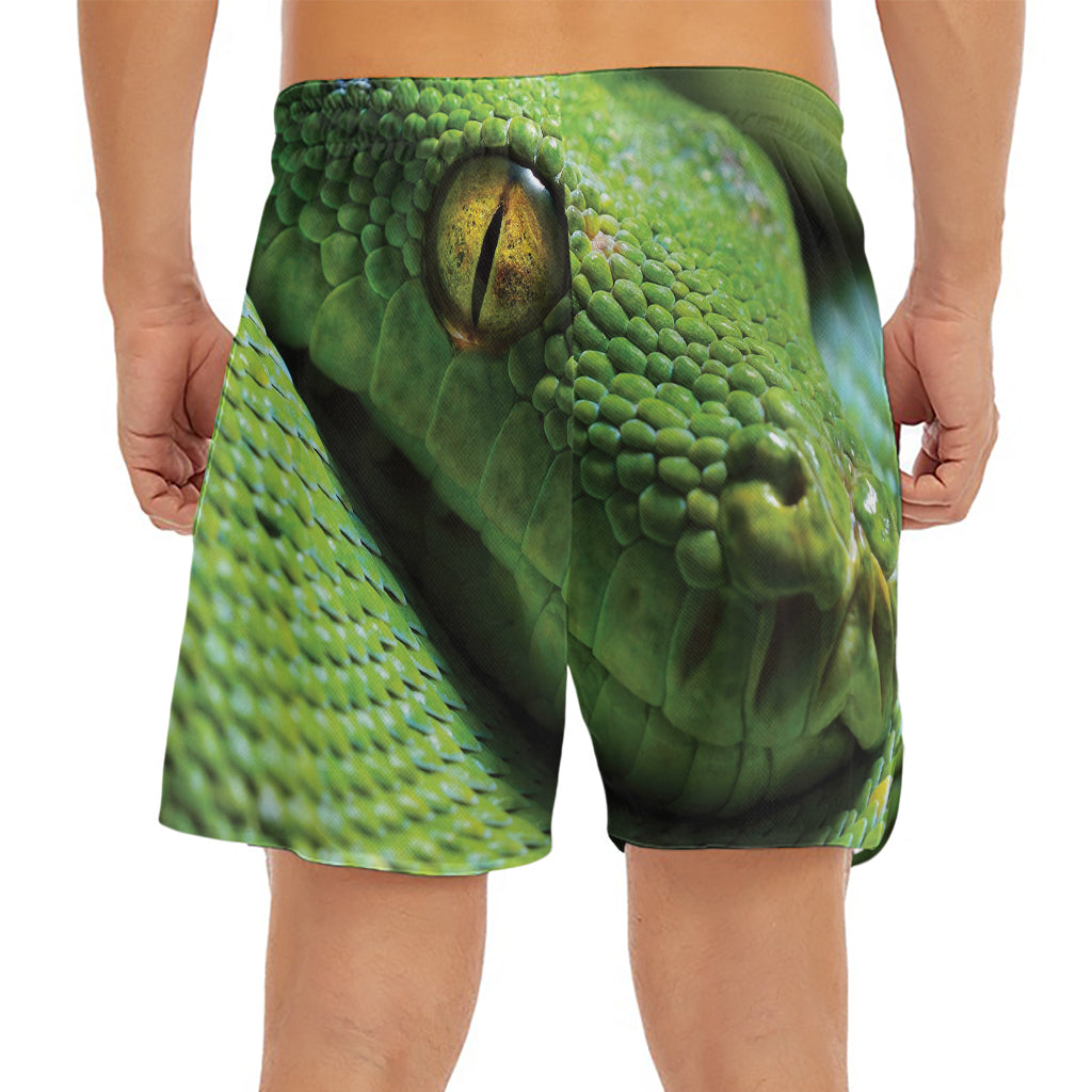 Green Tree Python Snake Print Men's Split Running Shorts