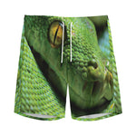 Green Tree Python Snake Print Men's Sports Shorts