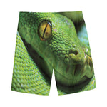 Green Tree Python Snake Print Men's Sports Shorts