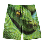 Green Tree Python Snake Print Men's Swim Trunks