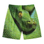Green Tree Python Snake Print Men's Swim Trunks