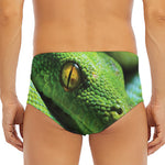 Green Tree Python Snake Print Men's Triangle Swim Briefs
