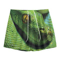 Green Tree Python Snake Print Mesh Shorts