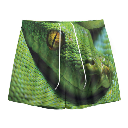 Green Tree Python Snake Print Mesh Shorts