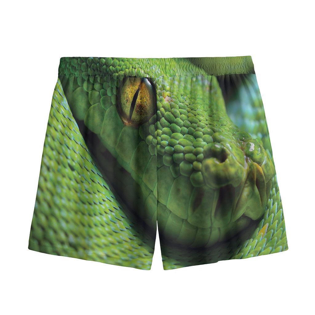 Green Tree Python Snake Print Mesh Shorts