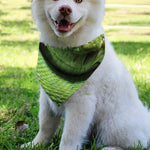 Green Tree Python Snake Print Over The Collar Dog Bandana