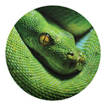 Green Tree Python Snake Print Round Blanket