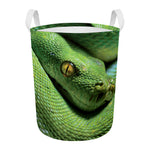 Green Tree Python Snake Print Round Laundry Basket