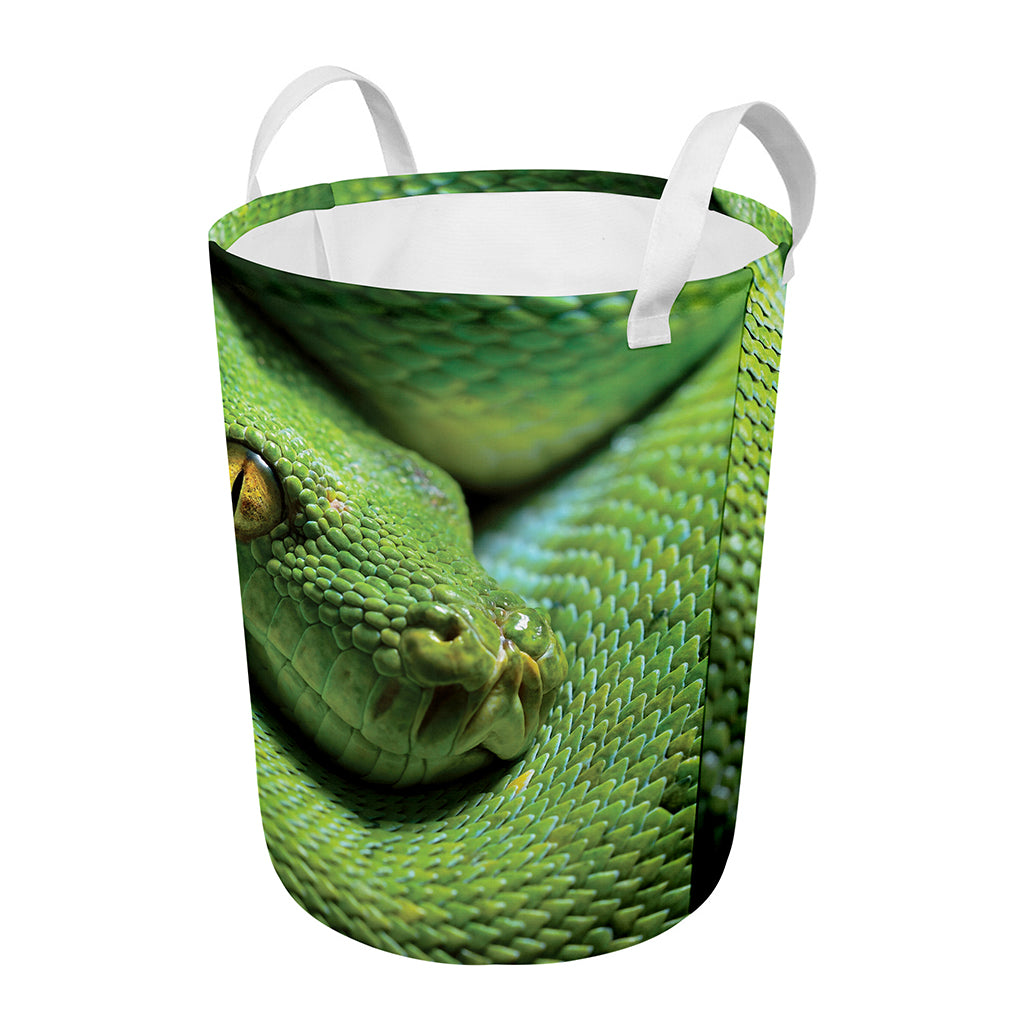 Green Tree Python Snake Print Round Laundry Basket