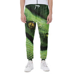 Green Tree Python Snake Print Scuba Joggers