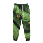 Green Tree Python Snake Print Sweatpants