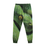 Green Tree Python Snake Print Sweatpants