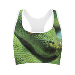 Green Tree Python Snake Print Women's Sports Bra