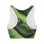 Green Tree Python Snake Print Women's Sports Bra