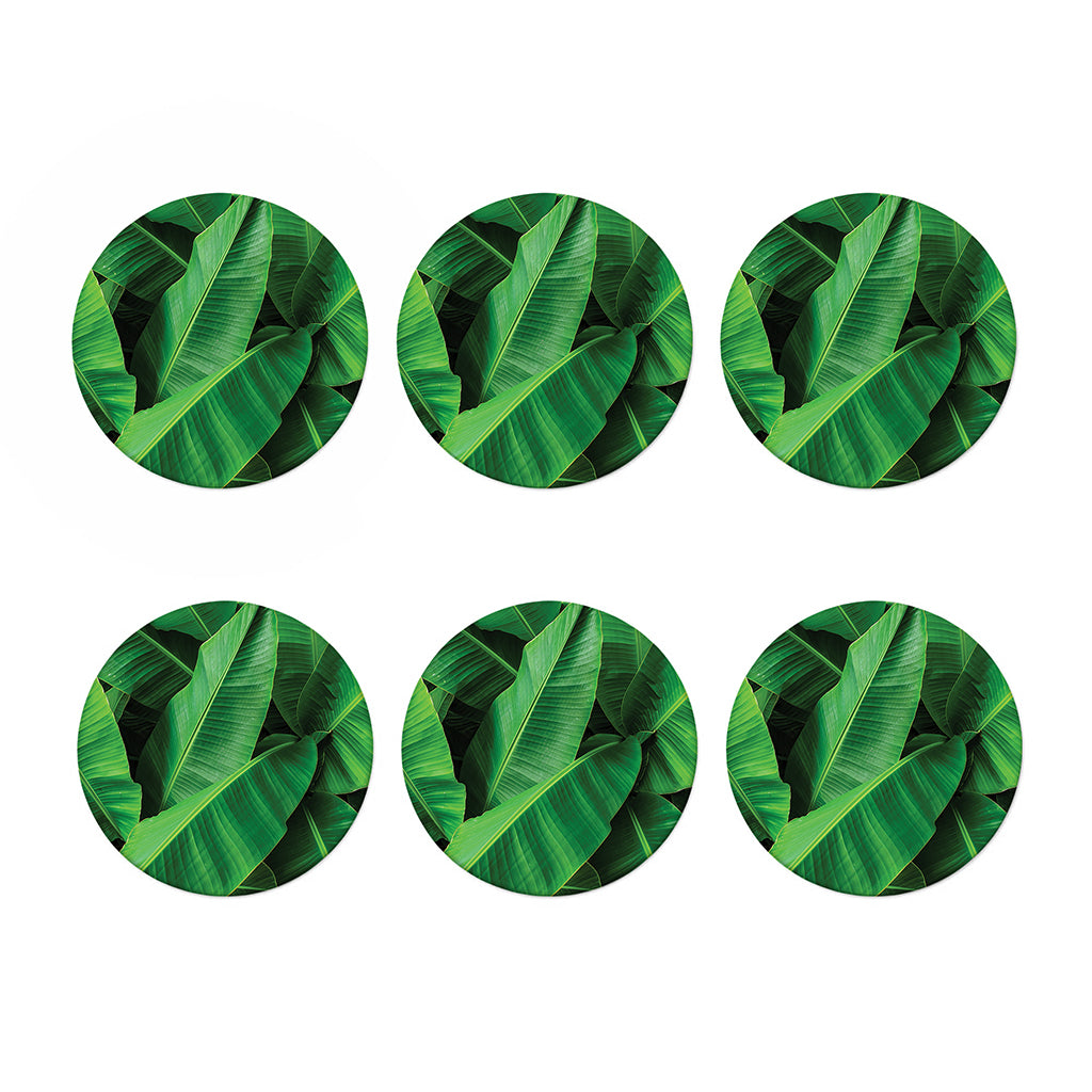 Green Tropical Banana Palm Leaf Print Coaster Set