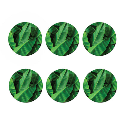 Green Tropical Banana Palm Leaf Print Coaster Set