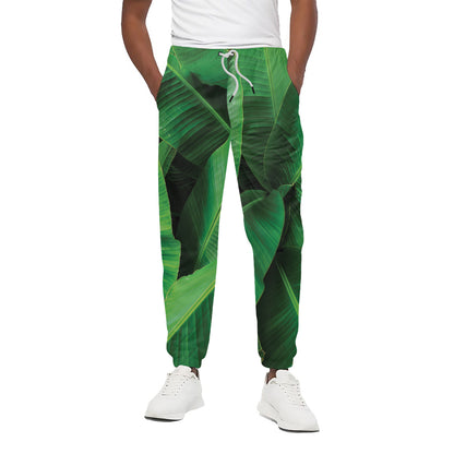 Green Tropical Banana Palm Leaf Print Cotton Pants