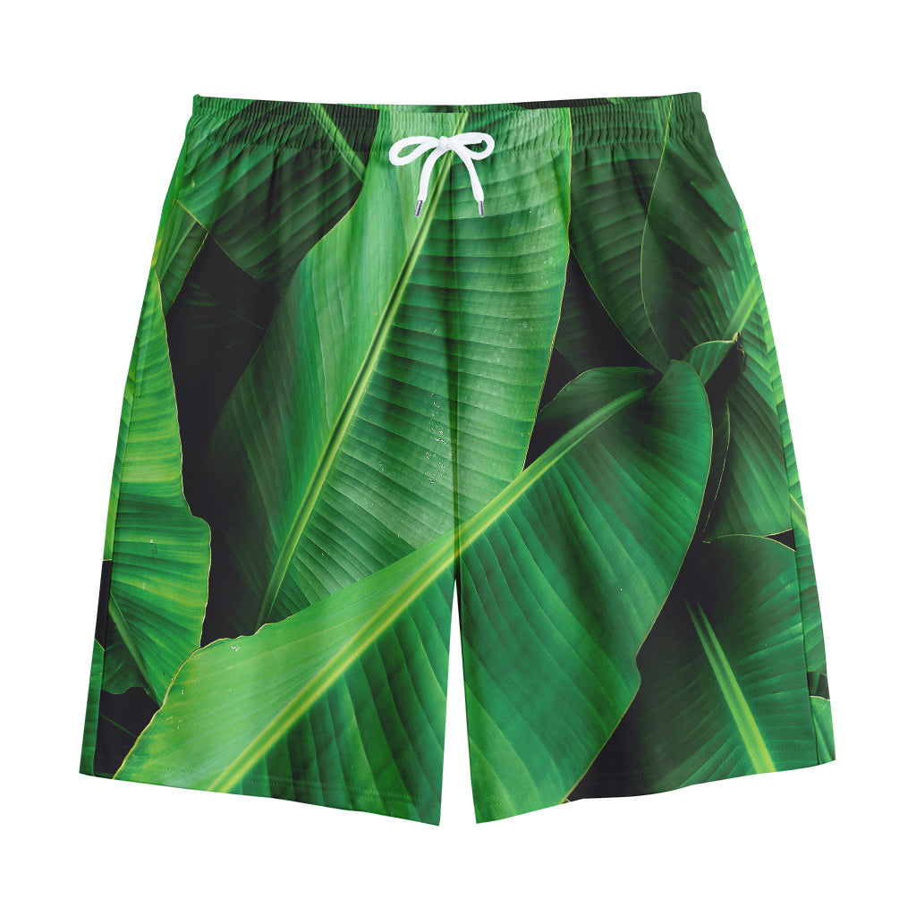 Green Tropical Banana Palm Leaf Print Cotton Shorts